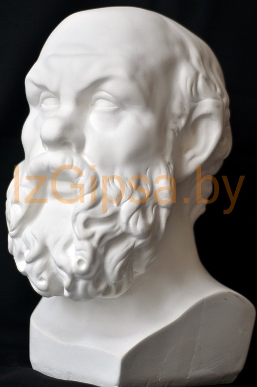 Гипсовая голова Сократа арт. 20003